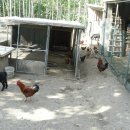 근화농장 이미지