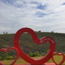 평택시 농업생태원2 이미지