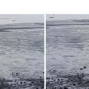 학성바다펜션 이미지