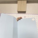 영블리
