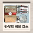 CJ유통 | 최화정 관리템 CJ 바이오코어 카무트 내돈내산 효소 후기
