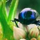 창신황제공인중개사사무소 이미지