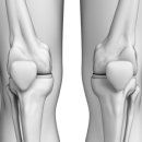 양재첫걸음 이미지