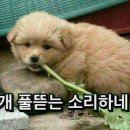 할까남