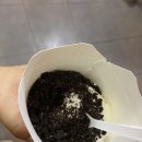 귀빈가라오케 | [세부_세부시티] 네 남자가 보여주는 뒤죽박죽 여행기Part 3.