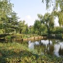 용산가족공원 이미지