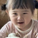 스토리회
