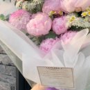 플로라제이 이미지