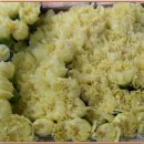 사람이 꽃보다 아름 이미지