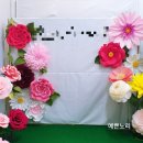 예쁜노리 이미지