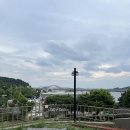 대대리135