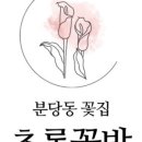 예쁜꽃방 이미지