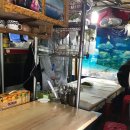 늘올생구이 이미지