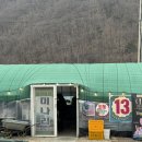 웅이농장 이미지