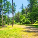 백천계곡 | 캠핑계의 5성급 호텔… 해발 900m 원시림 속 숲캉스 성지 어디?