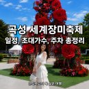 곡성레져문화센터 | 곡성장미축제 2026 사전예매 공연 일정 가수 라인업 주차까지 l 전라도 축제 전남 가볼만한 곳