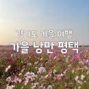 오성도서관 | 가을 낭만 가득한 평택 나들이 BEST 3 | 평택호, 배다리생태공원, 오성강변 코스모스밭 완벽 가이드