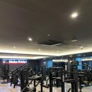 브레이브 휘트니스 이미지