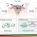 형성슈퍼 이미지
