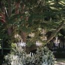 아난티 앳 부산 코브 이미지