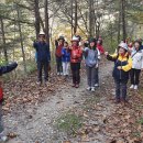 용인명산트레킹-석포숲편 이미지