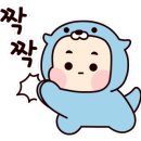 이룸태권도장 이미지