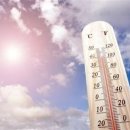 바이독한 이미지