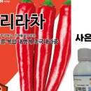 풍년농약사 이미지