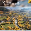 오섬권역농어촌체험휴양마을 이미지