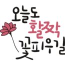 오늘도라베 이미지