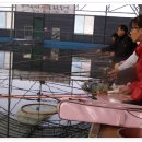 광석낚시터 이미지