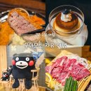 엔소프트치킨 | [일본/구마모토] 구마모토 자유 여행 - 1박 2일 구마모토 코스 추천(북큐슈 자유여행, 일정, 경비, 맛집...