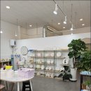 고인돌공예학원 | 취미생활하기 좋은 도자기 고인돌공예학원
