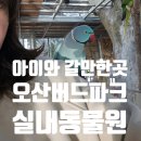 부엉이 성인게임장 | 경기도실내동물원 오산버드파크 아이들과 방문 후기