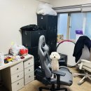 중기청 전세대출 후기 7편 - 이사 준비? 이사 체크리스트? 용달이사 비용?