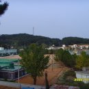 연평초중고등학교