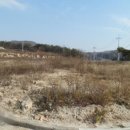 여주-0699 Daum카페