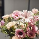 꽃조아화원 이미지