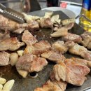 K (기존 : 둘리) 이미지