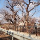 어은정미소 이미지