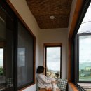 빈도롱이 이미지