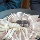르노삼성자동차서비스코너밀양점 | 밀양 돼지국밥 맛집: 위양지 주변 돼지국밥 ‘토담 돼지국밥’