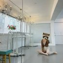 트레이닝 스튜디오 제이 | 발레일기 #6 - 교대 발레 제이발레스튜디오 기초반