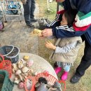 청정팜 | 용인 아이랑 갈만한 곳 체험농장 추천 용인청정팜 추천