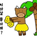 좋은 정육점 이미지