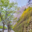 죽전중앙근린공원 이미지