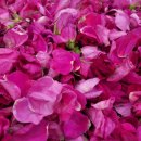 영도구장애인복지관 이미지