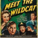 1940 와일드캣은 미국인이다Meet the Wildcat is an American 이미지