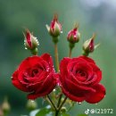 생초초등학교 이미지