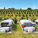 강원장의사 이미지